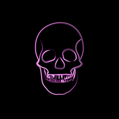 Vector illustration of a skull with neon effect.