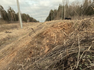 a pile of logs