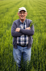Naklejka na ściany i meble Portrait of senior farmer standing in barley field.
