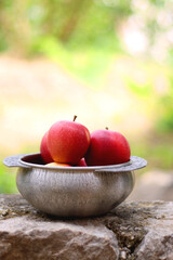 Silver bowl filled with red apples in the garden. Selective focus.