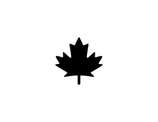 Maple Leaf isolated realistic vector icon. Canadian Maple Leaf illustration icon
