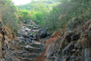 waterfall in the forest