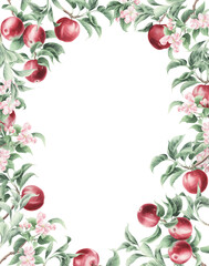 Frame of watercolor red apples isolated on a transparent background.