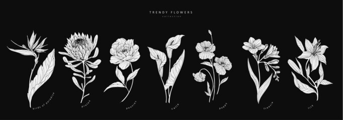 Trendy flowers for logo or decorations. Hand drawn line wedding decoraton, elegant leaves for invitation save the date card. Botanical rustic trendy greenery