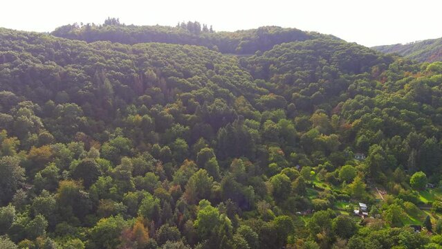 Cochem, Germany: Aerial view of forests around Cochem Imperial Castle (Reichsburg Cochem), lush valley of river Moselle at sunset - landscape panorama of Europe from above 