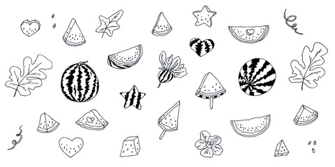 Vector watermelon clipart. Hand drawn watermelon icon set. Fruit illustration. For print, web, design, decor, logo.