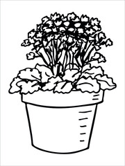 Сute hand drawn houseplant in a pot clipart. Plant illustration. Cozy home doodle.