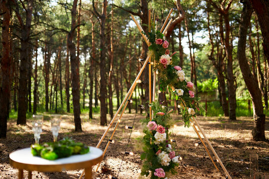 Bohemian tipi arch made of wooden rods decorated with pink roses, candles on carpet, pampass grass, wrapped in fairy lights on outdoor wedding ceremony venue in pine forest. Floristic compositions.