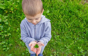 The hand holds a shamrock clover. Nature.