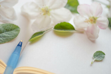 Closeup open book with blank sheets and a blue pen. Fresh apple flowers and green leaves on paper sheet.