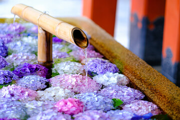 紫陽花の花手水