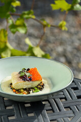Fine dine fish fillet with caviar