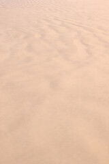 Wet sand background. Sand texture