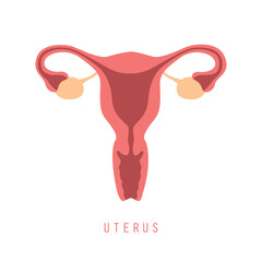 female reproductive system women uterus ovary icon - obrazy, fototapety, plakaty