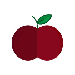Apple icon vector. fruit, vegetarian. flat icon style. simple design editable. Design simple illustration
