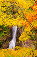 Fototapeta na wymiar 岐阜県中津川　夕森公園の銅穴の滝