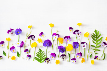 beautiful pansy violet summer flowers flatlay on white