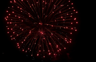 Firework display in the night sky. Beautiful celebration show. 