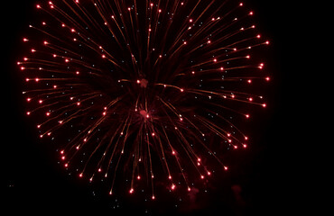 Fototapeta premium Firework display in the night sky. Beautiful celebration show. 