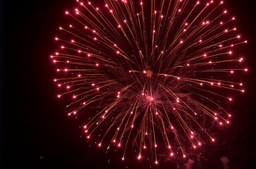 Fireworks splashes in the sky.  Pyrotechnics firework close up photo. Ecology conversation concept. 