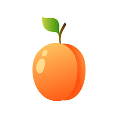 Vector cartoon style illustration of apricot isolated on white background. Summer fruits for healthy lifestyle. Sweet fruit harvest.