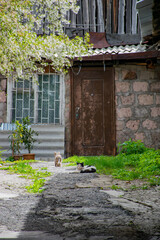 old house in the garden