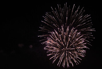 Obraz premium Firework close up photo. Beautiful fireworks in the night sky. 