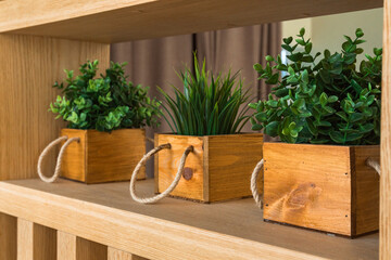 small wooden pots with green flowers