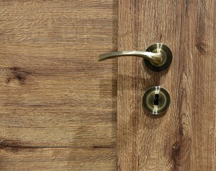 brass handle and door lock