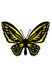 Fototapeta na wymiar Butterfly, Butterfly Clipart, Butterfly Vector