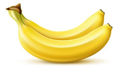 Realistic yellow banana. Tropical fruit bunch. Fresh food. Diet dessert snack. Healthy natural product. Vegetarian meal ingredient. Vitamin nutrition. Vector delicious vegan appetizer