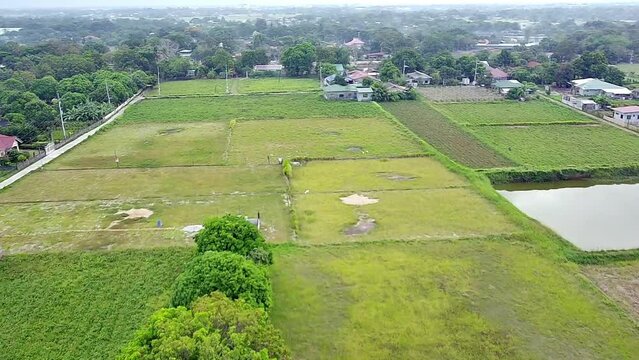 Aerial view of agricultural fields in a village of abulalas hagonoy, Bulacan Philippines