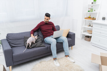 Fototapeta premium Arabian man petting sphynx cat and using laptop on couch near carton box at home.
