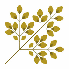 dry twigs isolated on white background