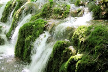Fototapeta na wymiar close up of rapids in N.P. Plitvice, Croatia