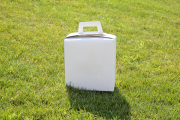 Unmarked blank white cardboard box on the green grass. Package mock up.