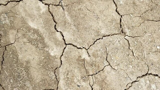 Cracked soil in hot weather