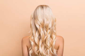 Back view photo of amazing stunning female with long beach waves hairstyle isolated on beige color...