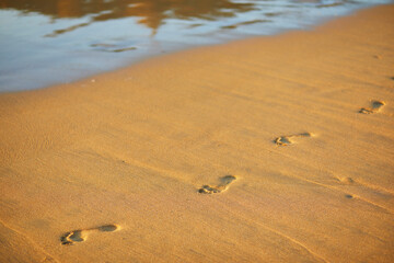 Footprints at sunset with golden sand. beach, wave and footsteps at sunset time