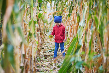 Little girl walking through corn stalks on a farm