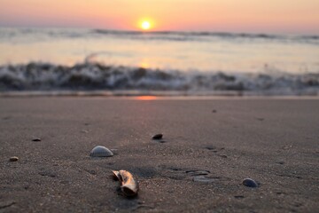 Strand: 