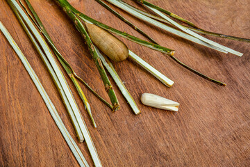 Process of willow sticks preparation for basket weaving