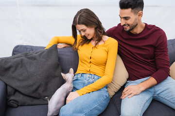 Happy interracial couple looking at hairless sphynx cat on couch at home.