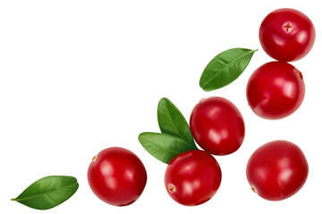 Cranberry with leaves isolated on white background. Top view with copy space for your text. Flat lay