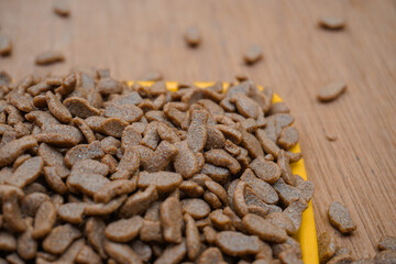 Dry cat food in a bowl