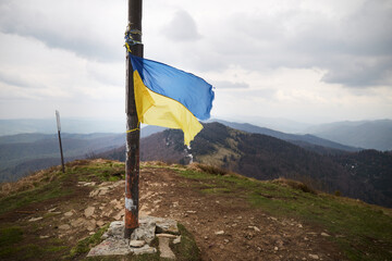 Ukrainian flag in top of mountain. Spring in Carpathian Mountains. Ukraine