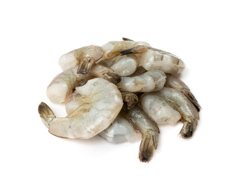Fresh Shrimp Tails Isolated