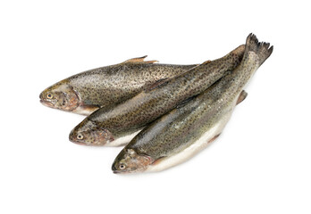 Raw Trout Isolated
