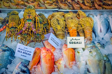 A colorful display of fresh fish and seafood at Al Mina fish market in Abu Dhabi, United Arab...