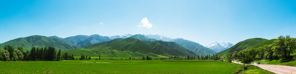 Fototapeta na wymiar Panorama of spring green meadows in the mountains on a sunny day.